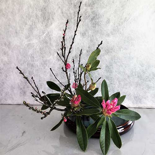 Ikebana International is a non-profit, cultural organisation, made up of members from all nationalities who are dedicated to the promotion and appreciation of Ikebana.